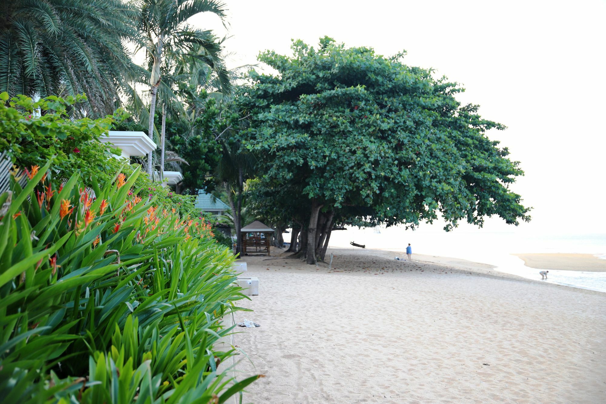 Baan Dhewaran Beachfront Villa Na Chom Thian Exterior photo